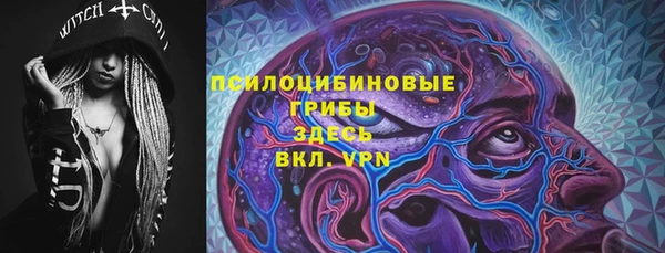 винт Рославль