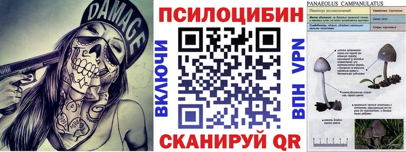 МЕГА ТОР  Топки  Псилоцибиновые грибы Magic Shrooms 